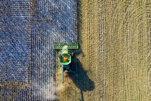 Beneficios de implementar Blockchain en el sector agricola Tokenizacion de activos